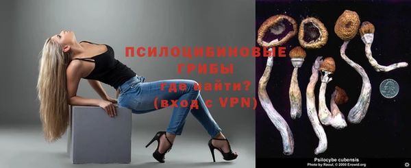 гашик Рославль