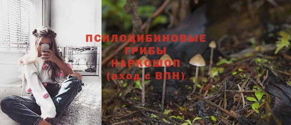 ECSTASY Ростов